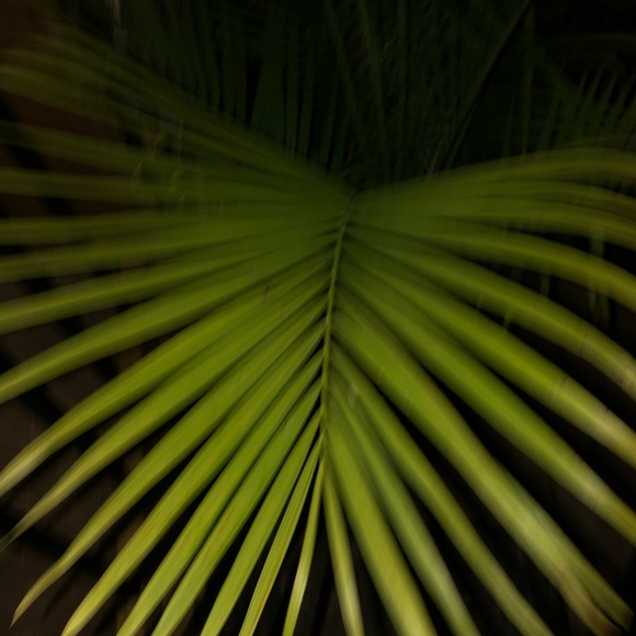 Meet your Posher, Matthew - Picture 1 of 1